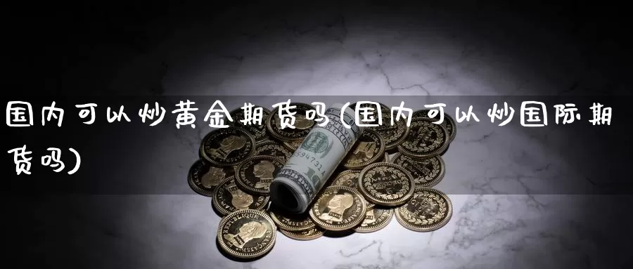 国内可以炒黄金期货吗(国内可以炒国际期货吗)_https://hz.wpmee.com_外盘期货直播_第1张