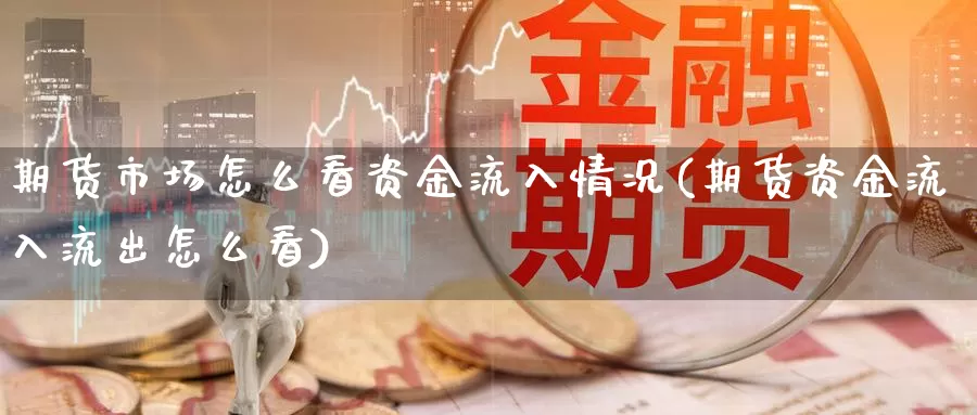 期货市场怎么看资金流入情况(期货资金流入流出怎么看)_https://hz.wpmee.com_纳指期货直播_第1张