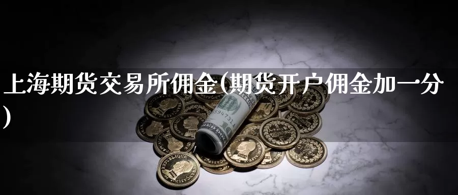 上海期货交易所佣金(期货开户佣金加一分)_https://hz.wpmee.com_纳指期货直播_第1张