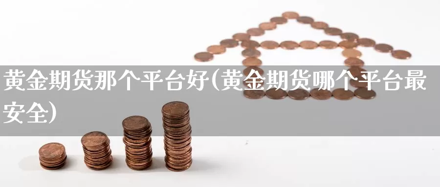 黄金期货那个平台好(黄金期货哪个平台最安全)_https://hz.wpmee.com_纳指期货直播_第1张