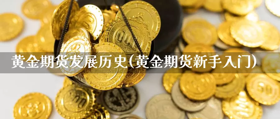 黄金期货发展历史(黄金期货新手入门)_https://hz.wpmee.com_纳指期货直播_第1张