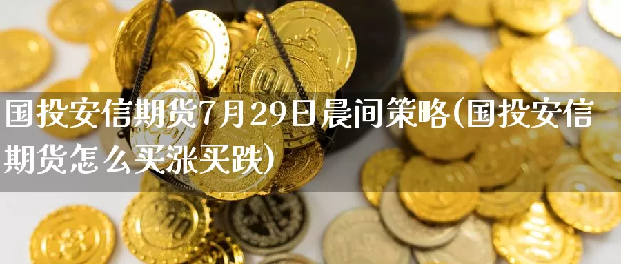 国投安信期货7月29日晨间策略(国投安信期货怎么买涨买跌)_https://hz.wpmee.com_纳指期货直播_第1张