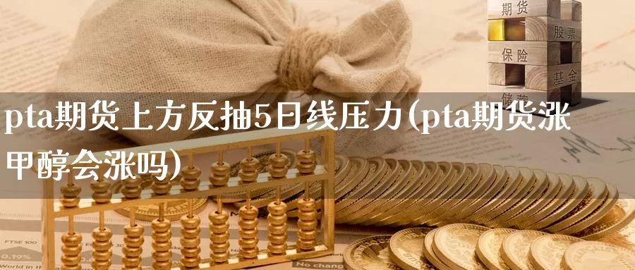 pta期货上方反抽5日线压力(pta期货涨甲醇会涨吗)_https://hz.wpmee.com_外盘期货直播_第1张