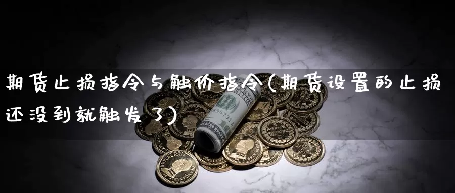 期货止损指令与触价指令(期货设置的止损还没到就触发了)_https://hz.wpmee.com_德指期货直播_第1张