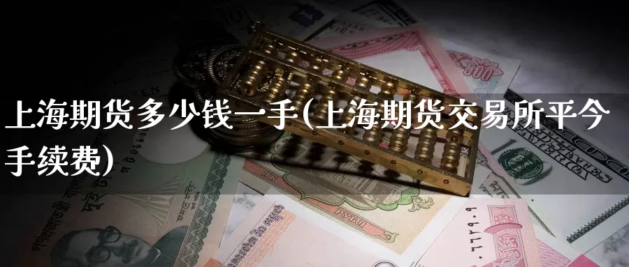 上海期货多少钱一手(上海期货交易所平今手续费)_https://hz.wpmee.com_黄金期货直播_第1张