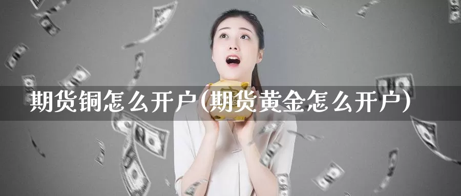 期货铜怎么开户(期货黄金怎么开户)_https://hz.wpmee.com_德指期货直播_第1张