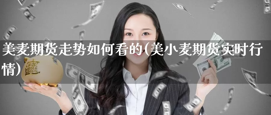 美麦期货走势如何看的(美小麦期货实时行情)_https://hz.wpmee.com_国际期货直播_第1张