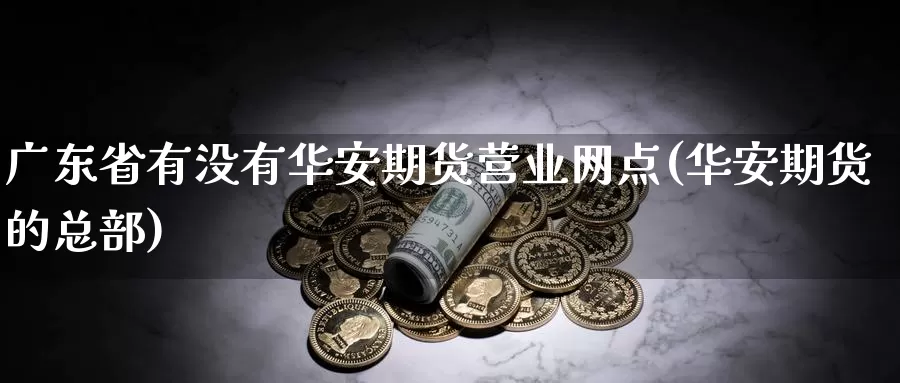 广东省有没有华安期货营业网点(华安期货的总部)_https://hz.wpmee.com_外盘期货直播_第1张