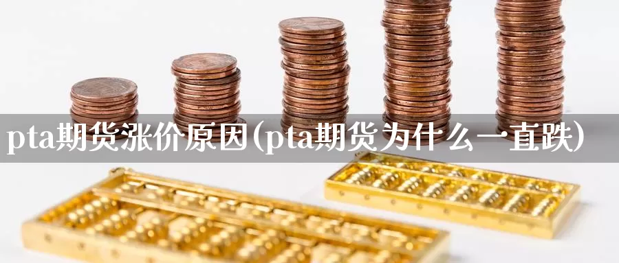 pta期货涨价原因(pta期货为什么一直跌)_https://hz.wpmee.com_外盘期货直播_第1张