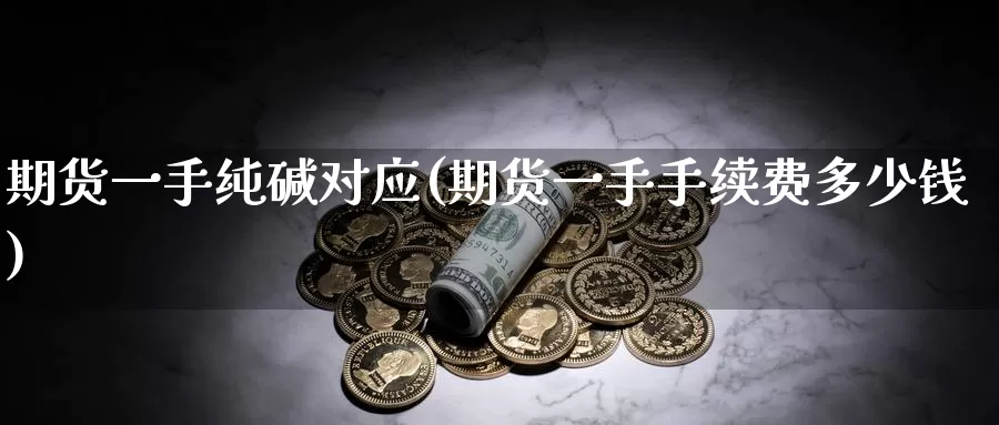 期货一手纯碱对应(期货一手手续费多少钱)_https://hz.wpmee.com_外盘期货直播_第1张