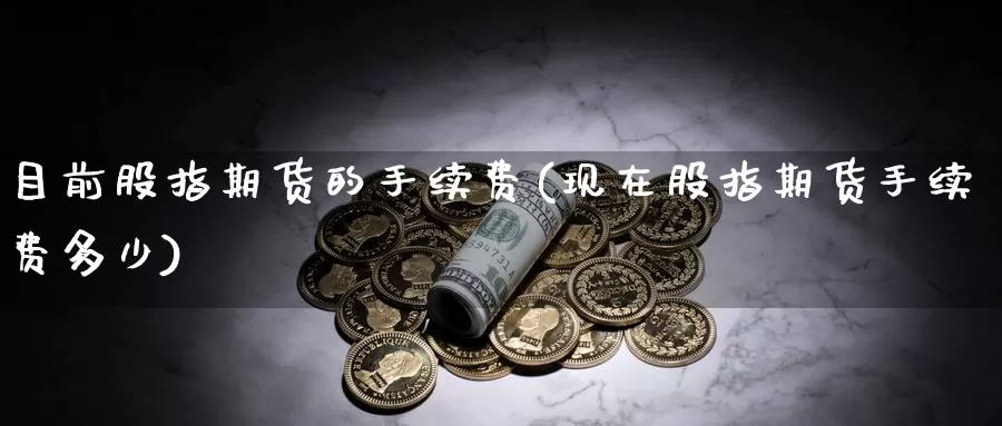 目前股指期货的手续费(现在股指期货手续费多少)_https://hz.wpmee.com_黄金期货直播_第1张