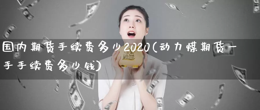 国内期货手续费多少2020(动力煤期货一手手续费多少钱)_https://hz.wpmee.com_德指期货直播_第1张