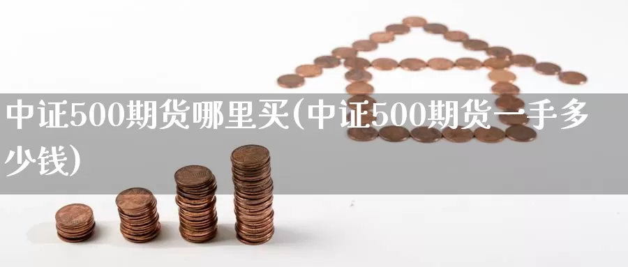 中证500期货哪里买(中证500期货一手多少钱)_https://hz.wpmee.com_黄金期货直播_第1张