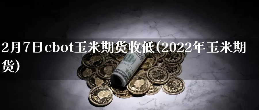 2月7日cbot玉米期货收低(2022年玉米期货)_https://hz.wpmee.com_国际期货直播_第1张