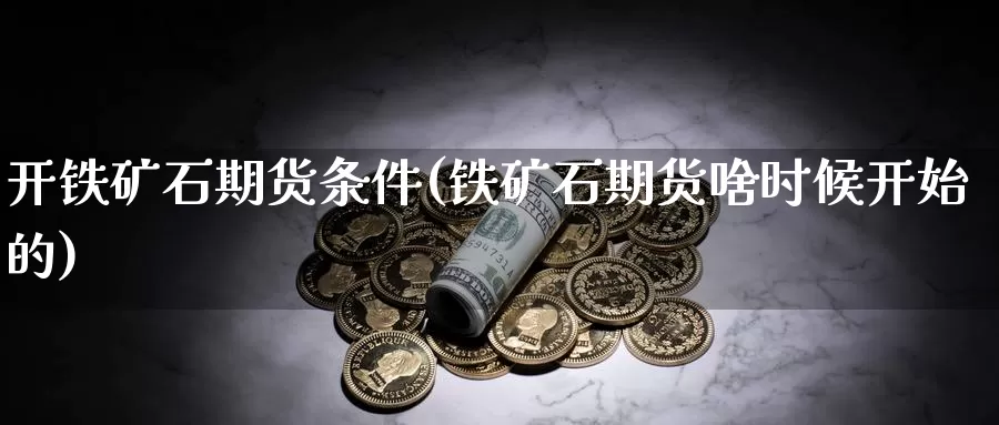 开铁矿石期货条件(铁矿石期货啥时候开始的)_https://hz.wpmee.com_外盘期货直播_第1张