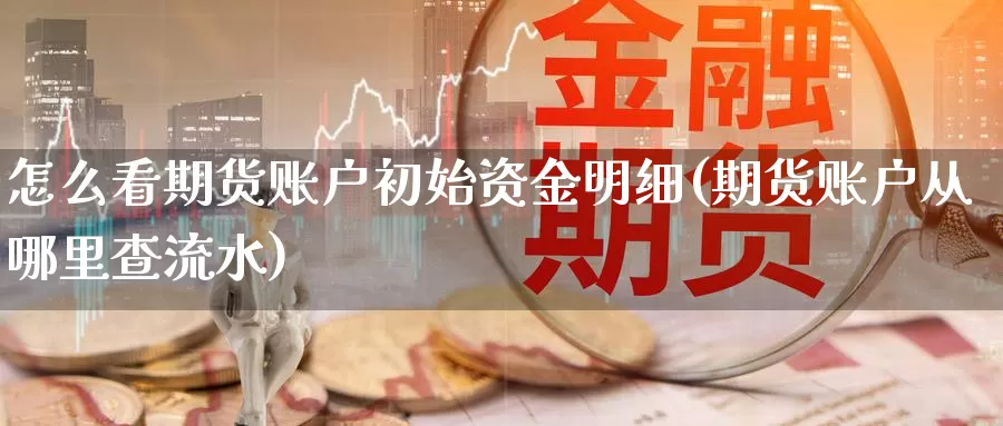 怎么看期货账户初始资金明细(期货账户从哪里查流水)_https://hz.wpmee.com_德指期货直播_第1张