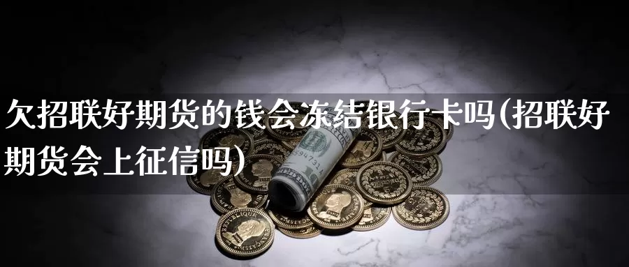 欠招联好期货的钱会冻结银行卡吗(招联好期货会上征信吗)_https://hz.wpmee.com_纳指期货直播_第1张