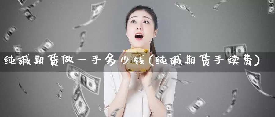 纯碱期货做一手多少钱(纯碱期货手续费)_https://hz.wpmee.com_纳指期货直播_第1张