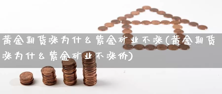 黄金期货涨为什么紫金矿业不涨(黄金期货涨为什么紫金矿业不涨价)_https://hz.wpmee.com_德指期货直播_第1张