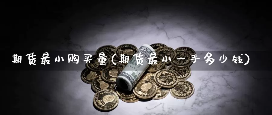 期货最小购买量(期货最小一手多少钱)_https://hz.wpmee.com_黄金期货直播_第1张