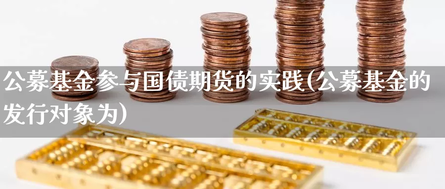 公募基金参与国债期货的实践(公募基金的发行对象为)_https://hz.wpmee.com_德指期货直播_第1张