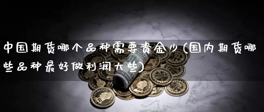 中国期货哪个品种需要资金少(国内期货哪些品种最好做利润大些)_https://hz.wpmee.com_外盘期货直播_第1张