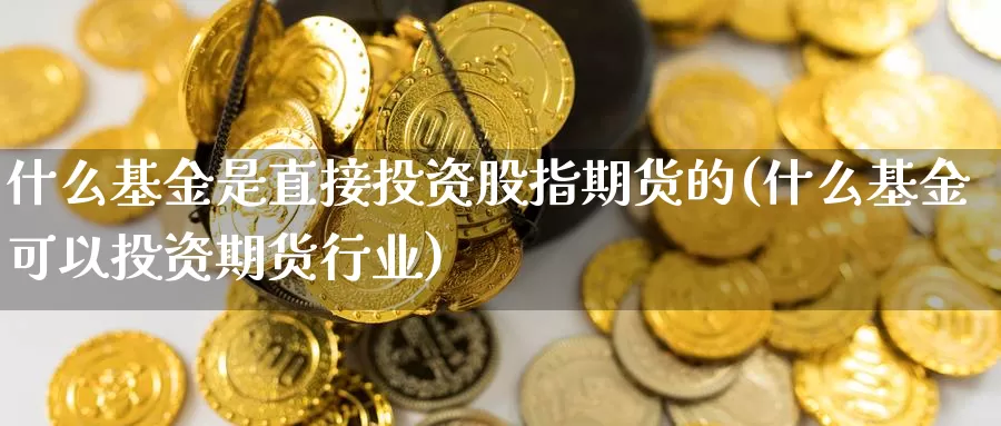 什么基金是直接投资股指期货的(什么基金可以投资期货行业)_https://hz.wpmee.com_德指期货直播_第1张