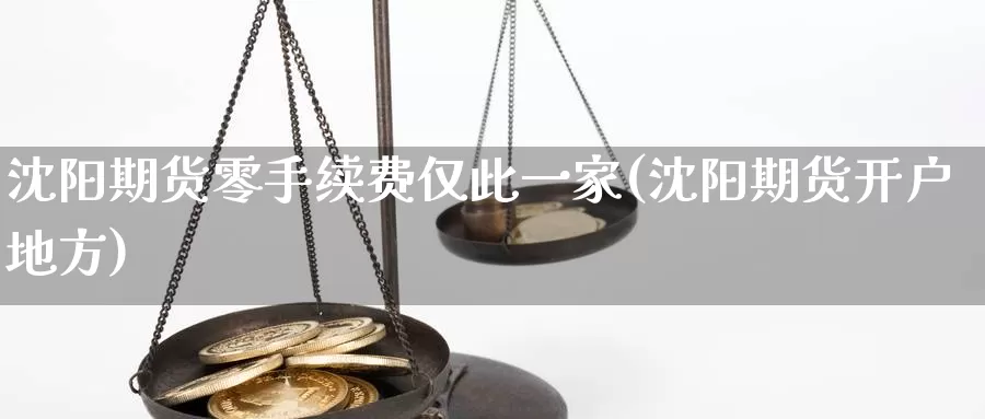 沈阳期货零手续费仅此一家(沈阳期货开户地方)_https://hz.wpmee.com_黄金期货直播_第1张