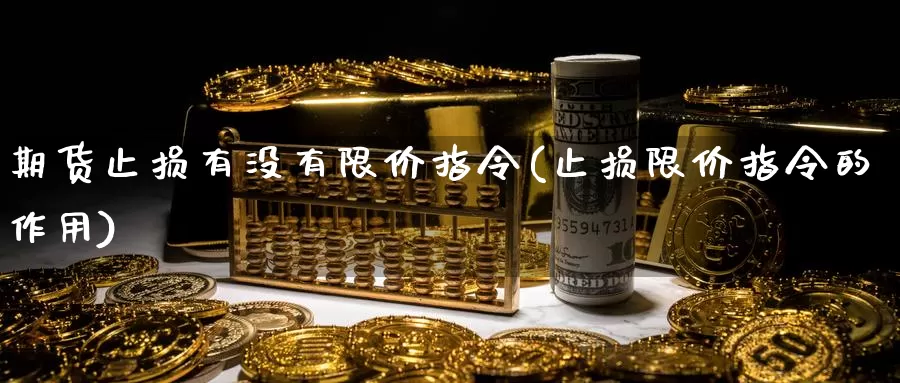 期货止损有没有限价指令(止损限价指令的作用)_https://hz.wpmee.com_纳指期货直播_第1张