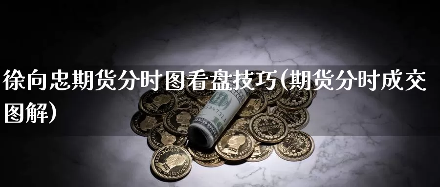 徐向忠期货分时图看盘技巧(期货分时成交图解)_https://hz.wpmee.com_国际期货直播_第1张