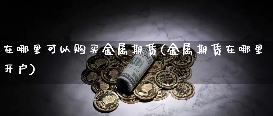 在哪里可以购买金属期货(金属期货在哪里开户)_https://hz.wpmee.com_德指期货直播_第1张