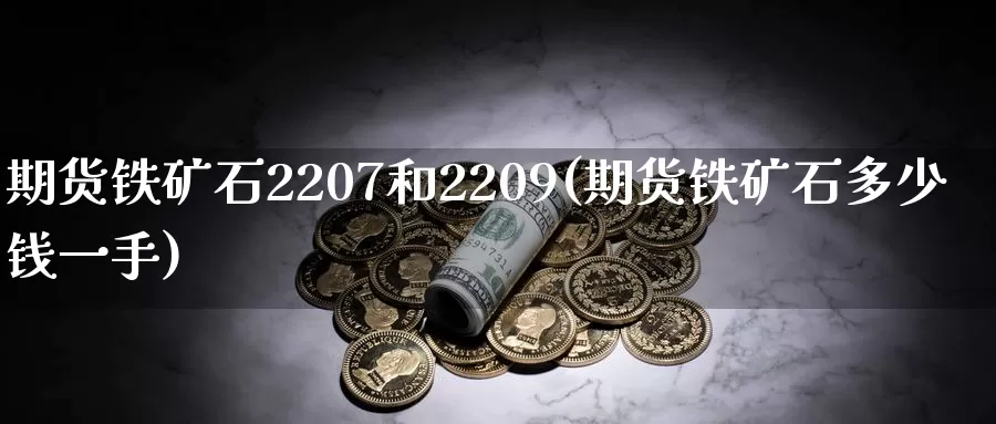 期货铁矿石2207和2209(期货铁矿石多少钱一手)_https://hz.wpmee.com_德指期货直播_第1张