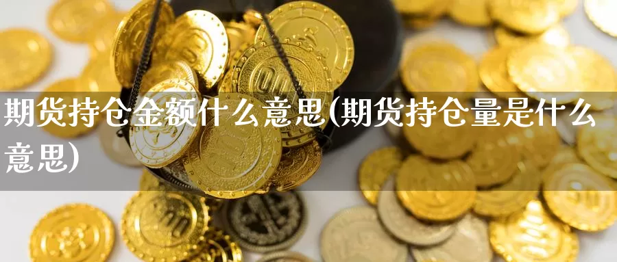 期货持仓金额什么意思(期货持仓量是什么意思)_https://hz.wpmee.com_纳指期货直播_第1张