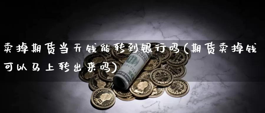 卖掉期货当天钱能转到银行吗(期货卖掉钱可以马上转出来吗)_https://hz.wpmee.com_国际期货直播_第1张