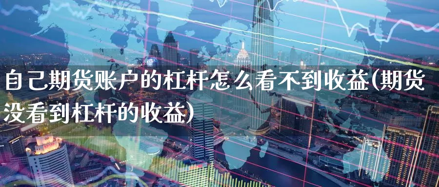 自己期货账户的杠杆怎么看不到收益(期货没看到杠杆的收益)_https://hz.wpmee.com_国际期货直播_第1张