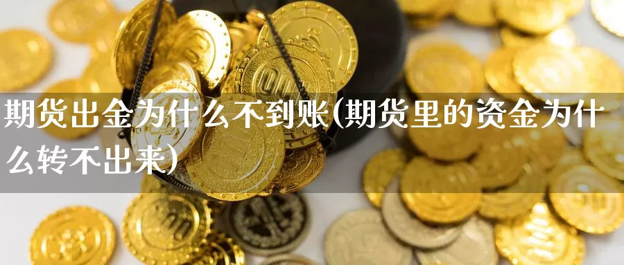 期货出金为什么不到账(期货里的资金为什么转不出来)_https://hz.wpmee.com_德指期货直播_第1张