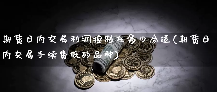 期货日内交易利润控制在多少合适(期货日内交易手续费低的品种)_https://hz.wpmee.com_纳指期货直播_第1张