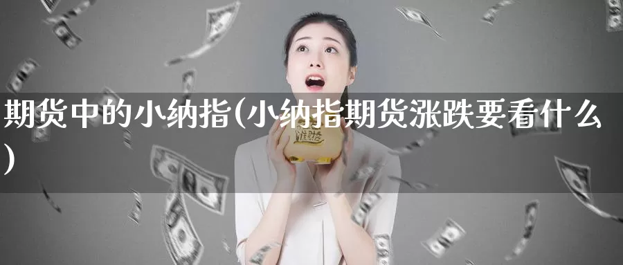 期货中的小纳指(小纳指期货涨跌要看什么)_https://hz.wpmee.com_国际期货直播_第1张