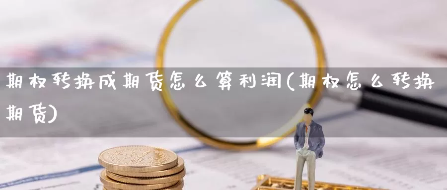 期权转换成期货怎么算利润(期权怎么转换期货)_https://hz.wpmee.com_国际期货直播_第1张