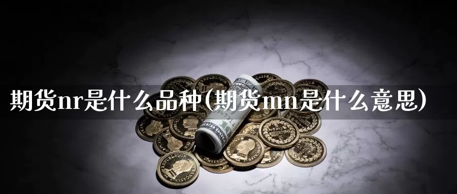 期货nr是什么品种(期货mn是什么意思)_https://hz.wpmee.com_德指期货直播_第1张