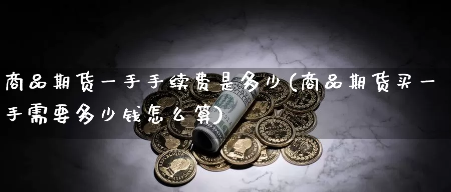 商品期货一手手续费是多少(商品期货买一手需要多少钱怎么算)_https://hz.wpmee.com_国际期货直播_第1张