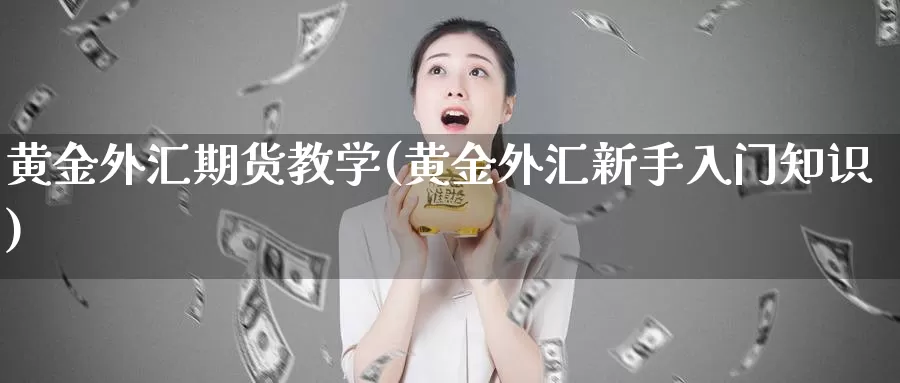 黄金外汇期货教学(黄金外汇新手入门知识)_https://hz.wpmee.com_黄金期货直播_第1张