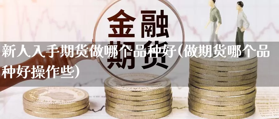 新人入手期货做哪个品种好(做期货哪个品种好操作些)_https://hz.wpmee.com_德指期货直播_第1张