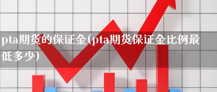 pta期货的保证金(pta期货保证金比例最低多少)_https://hz.wpmee.com_纳指期货直播_第1张