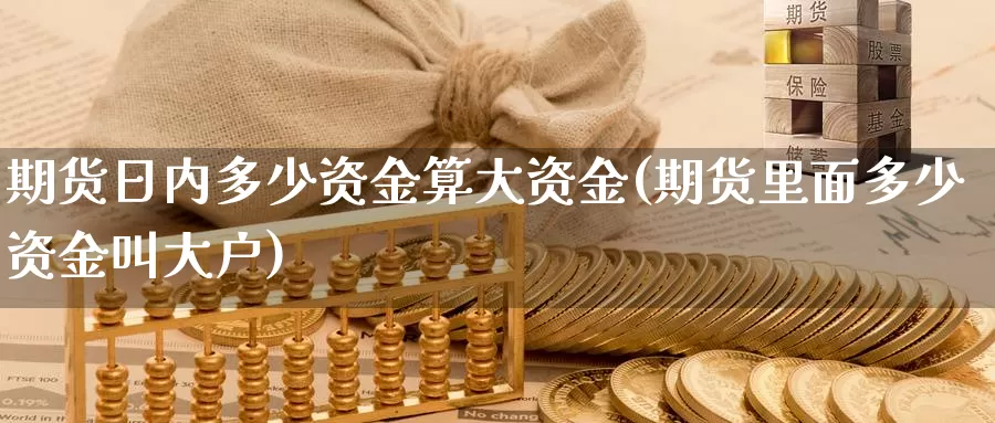 期货日内多少资金算大资金(期货里面多少资金叫大户)_https://hz.wpmee.com_纳指期货直播_第1张