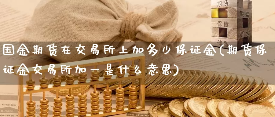 国金期货在交易所上加多少保证金(期货保证金交易所加一是什么意思)_https://hz.wpmee.com_德指期货直播_第1张