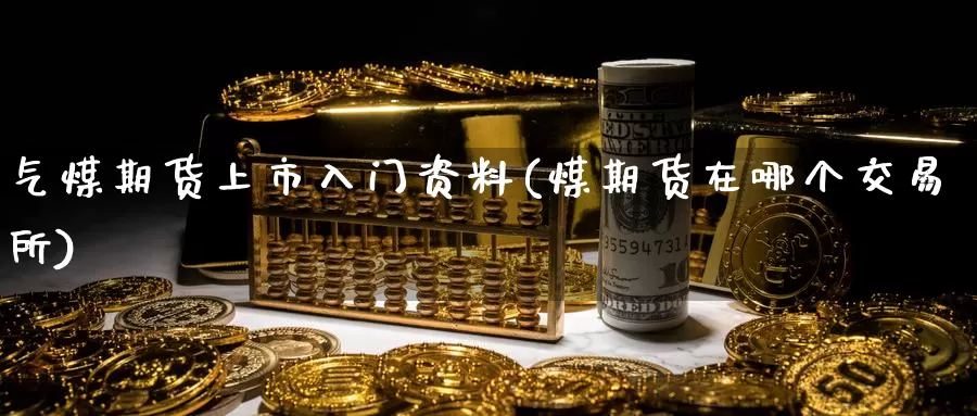 气煤期货上市入门资料(煤期货在哪个交易所)_https://hz.wpmee.com_德指期货直播_第1张