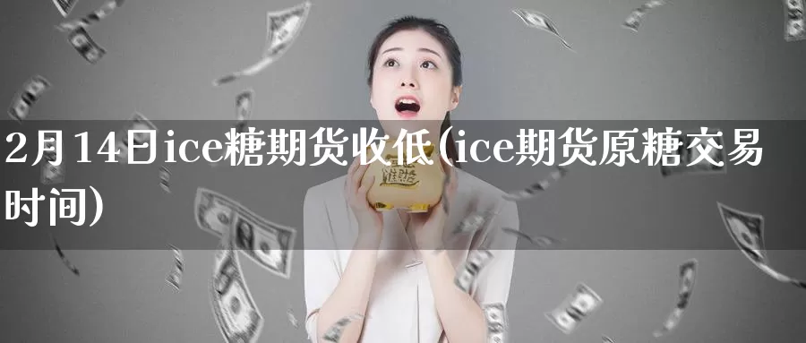 2月14日ice糖期货收低(ice期货原糖交易时间)_https://hz.wpmee.com_德指期货直播_第1张