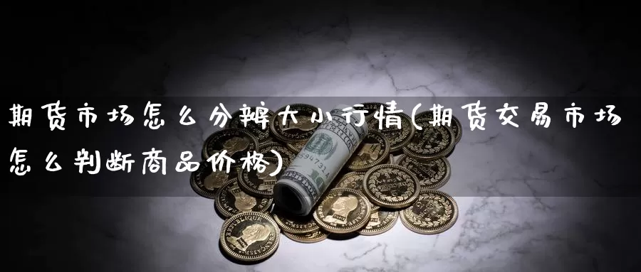 期货市场怎么分辨大小行情(期货交易市场怎么判断商品价格)_https://hz.wpmee.com_纳指期货直播_第1张