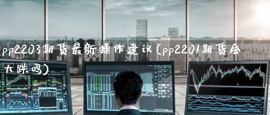 pp2203期货最新操作建议(pp2201期货会大跌吗)_https://hz.wpmee.com_纳指期货直播_第1张